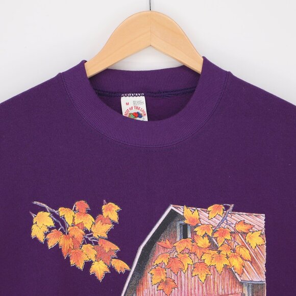 VINTAGE FRUIT OF THE LOOM Single Stitch Short Sleeve Sweatshirt Autumnal Size M - Picture 2 of 6